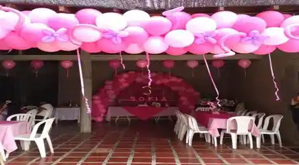 Decoracion-Rosada_Buffet